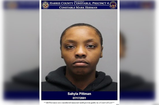 Houston Area Target Shoplifting Suspect Apprehended, Charged with Theft