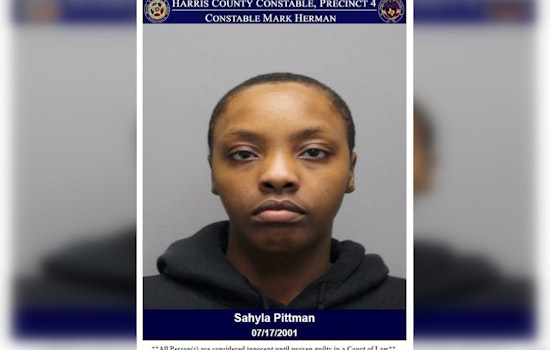 Houston Area Target Shoplifting Suspect Apprehended, Charged with Theft
