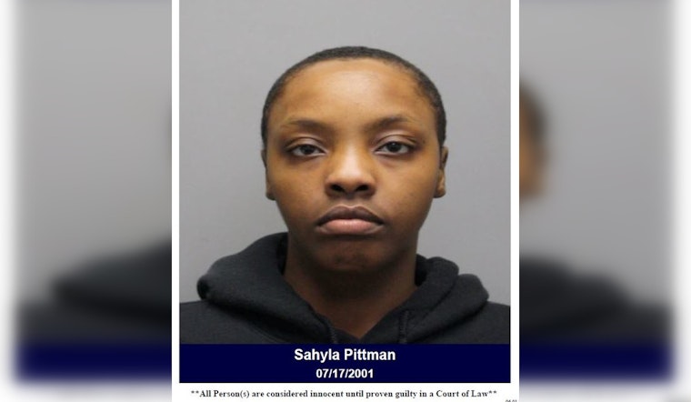 Houston Area Target Shoplifting Suspect Apprehended, Charged with Theft