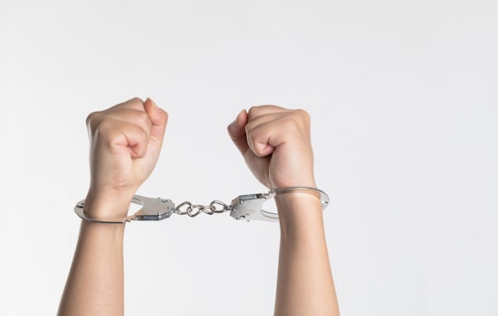 Houston-Area Teen Charged with Unlawful Carrying of Weapon After Flashing Gun During Dispute