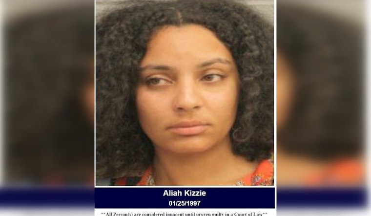 Houston-Area Woman Charged with Assault and Retaliation After Altercation