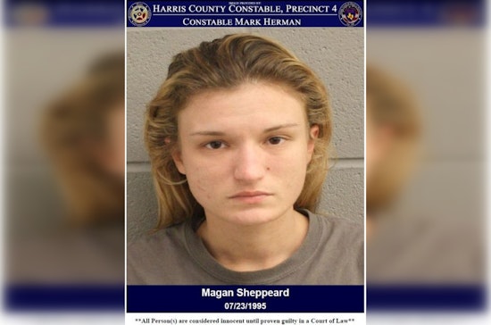 Houston-Area Woman Charged With Credit Card Abuse After Arrest at Pawn Shop