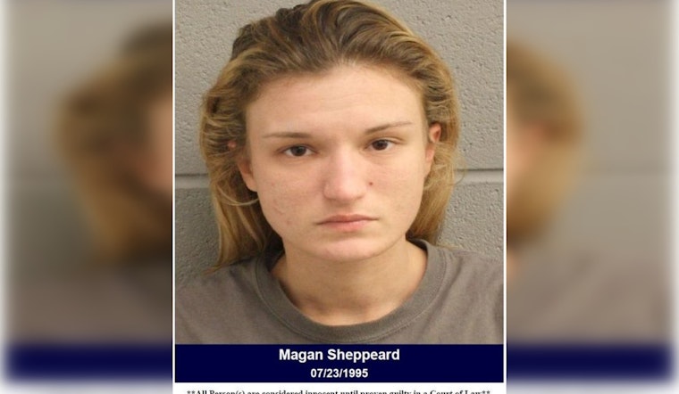 Houston-Area Woman Charged With Credit Card Abuse After Arrest at Pawn Shop