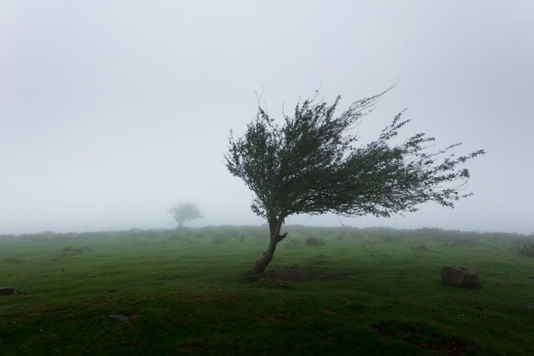 Houston Braces for Temperature Plunge and Gusty Winds as Cold Front Hits Southeast Texas