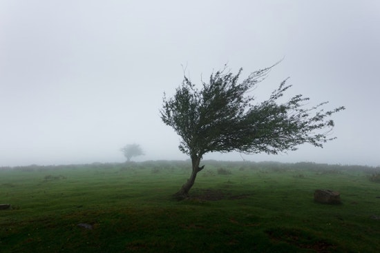 Houston Braces for Temperature Plunge and Gusty Winds as Cold Front Hits Southeast Texas