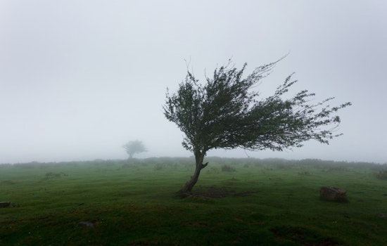 Houston Braces for Temperature Plunge and Gusty Winds as Cold Front Hits Southeast Texas