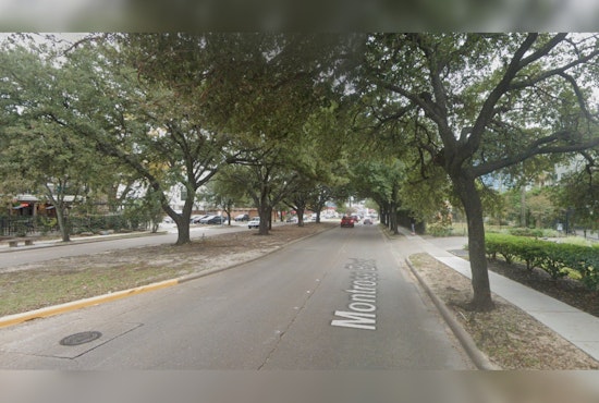 Houston Community Colors Creative Protest in Bid to Save Historic Montrose Oaks from Sidewalk Project