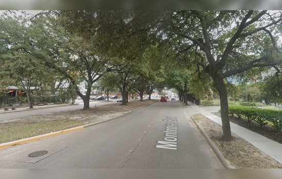 Houston Community Colors Creative Protest in Bid to Save Historic Montrose Oaks from Sidewalk Project