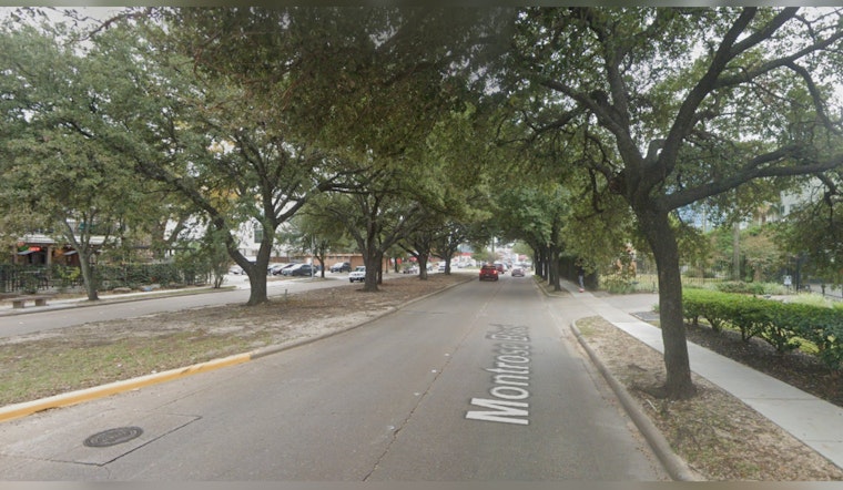 Houston Community Colors Creative Protest in Bid to Save Historic Montrose Oaks from Sidewalk Project