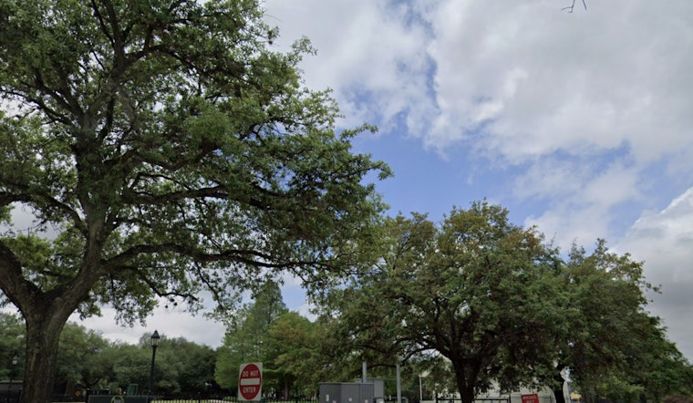 Houston Forecasts Promise Sunny Skies and Mild Temps, With Weekend Showers Possible