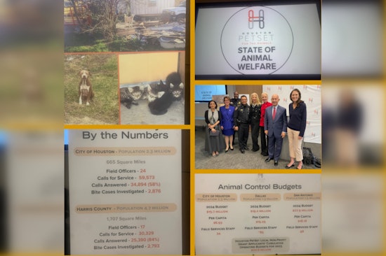 Houston Law Enforcement and Advocates Urge Collective Action on Animal Welfare and Public Safety