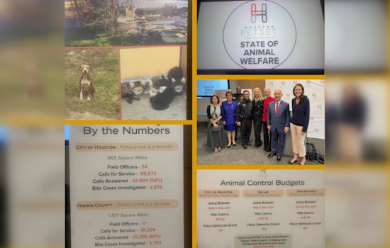 Houston Law Enforcement and Advocates Urge Collective Action on Animal Welfare and Public Safety