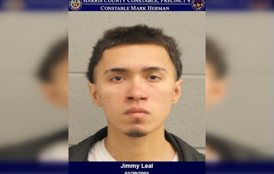 Houston Man Charged with Mail Theft Following Routine Traffic Stop on Spring Cypress Road