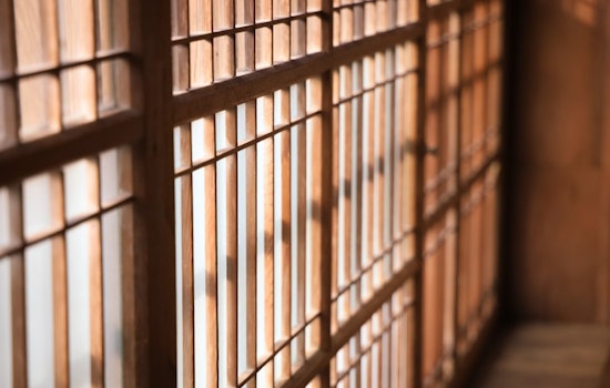 Houston Sex Offender Sentenced to 100 Years for Exploitation of Children