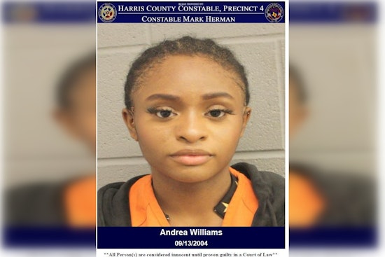 Houston Woman Arrested and Charged with Assault Following Workplace Dispute