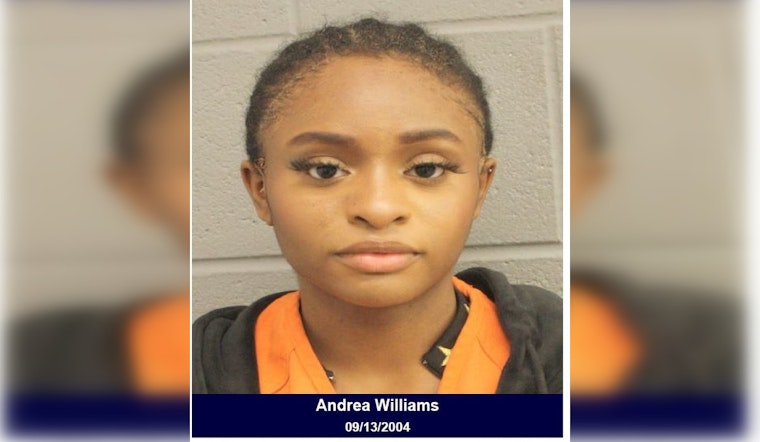 Houston Woman Arrested and Charged with Assault Following Workplace Dispute