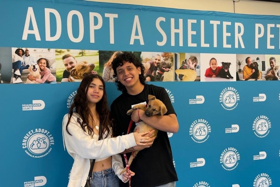 In Search of New Homes, 30 Shelter Dogs from Miami Take Flight to Northeast, Offering Canine Companions a Leap of Hope