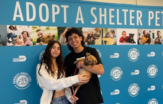 In Search of New Homes, 30 Shelter Dogs from Miami Take Flight to Northeast, Offering Canine Companions a Leap of Hope