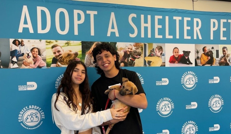 In Search of New Homes, 30 Shelter Dogs from Miami Take Flight to Northeast, Offering Canine Companions a Leap of Hope