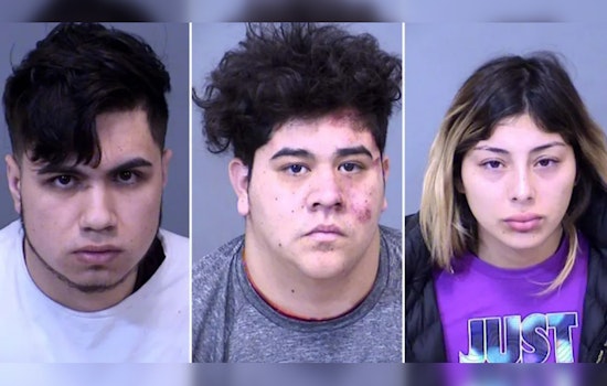 International Theft Ring Accused of $3 Million Heist in Phoenix, Trio with South American Ties Arrested