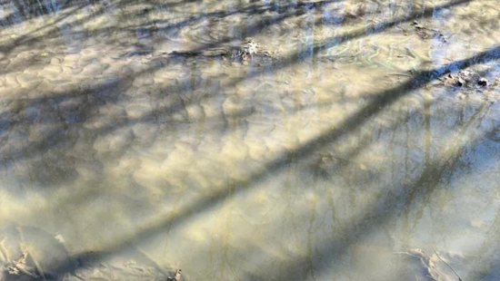 Investigation Underway After Unidentified Green Substance Spills into Bear Creek in Warren