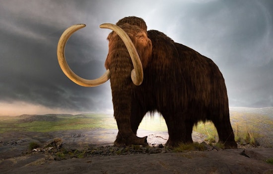 'Jurassic Park' Meets Reality Texas Startup's De-Extinction Docuseries Aims to Resurrect More Than Just a Mammoth!