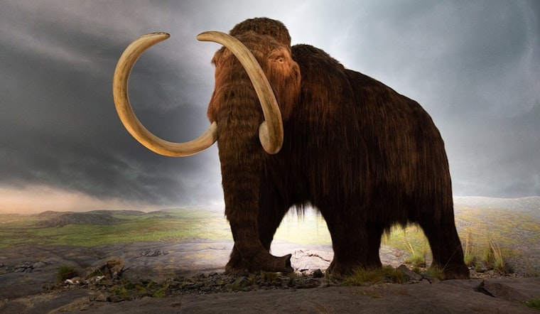 'Jurassic Park' Meets Reality Texas Startup's De-Extinction Docuseries Aims to Resurrect More Than Just a Mammoth!