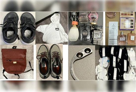 LAPD Apprehends Nine Suspects in Downtown LA Retail Theft Blitz at FIGat7th Complex