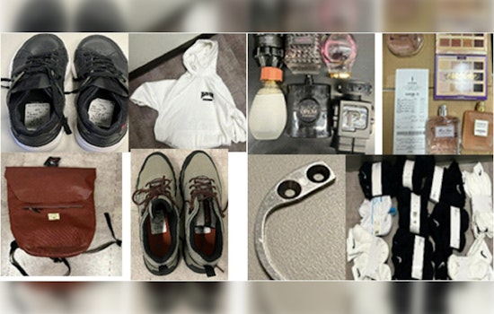 LAPD Apprehends Nine Suspects in Downtown LA Retail Theft Blitz at FIGat7th Complex