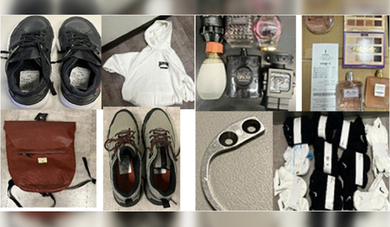 LAPD Apprehends Nine Suspects in Downtown LA Retail Theft Blitz at FIGat7th Complex