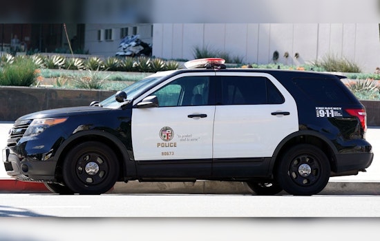 LAPD Seeks Public Assistance in North Hollywood Homicide of Unhoused Man
