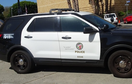 LAPD Task Force Nabs Suspect in Series of Bold L.A. Flash-Robberies