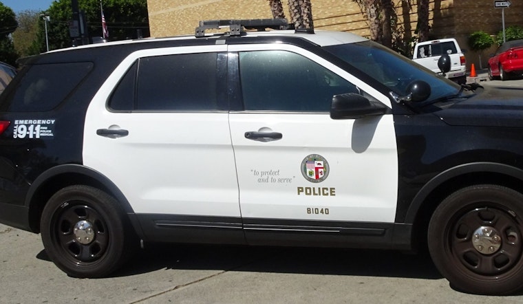 LAPD Task Force Nabs Suspect in Series of Bold L.A. Flash-Robberies