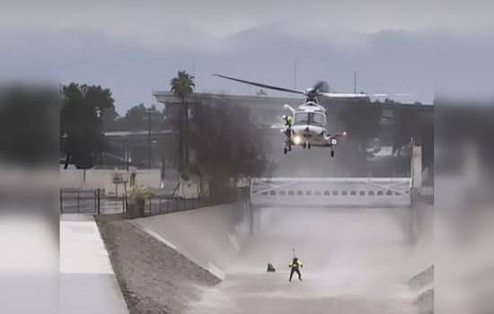 Los Angeles Firefighters Heroically Rescue Man and Dog from Pacoima Wash Currents
