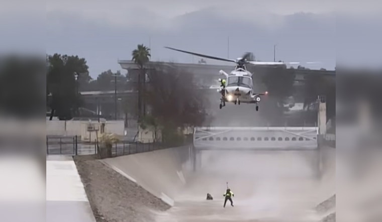 Los Angeles Firefighters Heroically Rescue Man and Dog from Pacoima Wash Currents