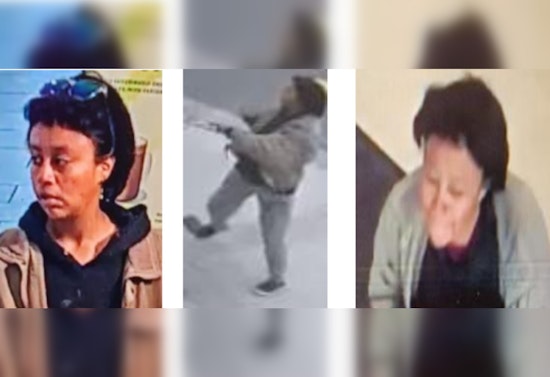 Los Angeles Police Seek Public's Help to Locate Suspect in Attempted Child Abduction on Virgil Avenue