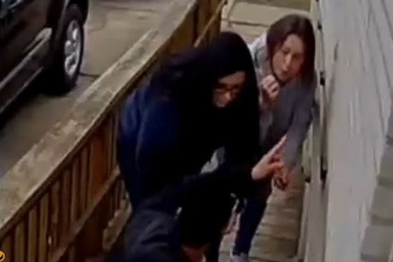Macomb County Sheriff Seeks Public's Aid to Find Women Accused of Stealing Family Dog in Mount Clemens
