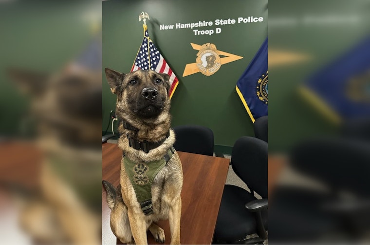Massachusetts Man Arrested Following High-Speed Chase and K-9 Capture in Concord, NH