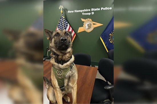Massachusetts Man Arrested Following High-Speed Chase and K-9 Capture in Concord, NH