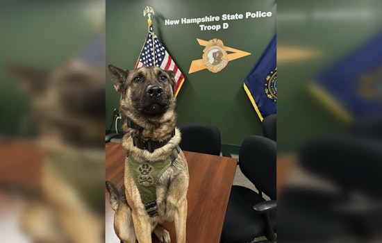 Massachusetts Man Arrested Following High-Speed Chase and K-9 Capture in Concord, NH
