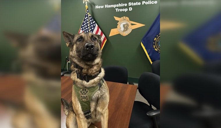 Massachusetts Man Arrested Following High-Speed Chase and K-9 Capture in Concord, NH
