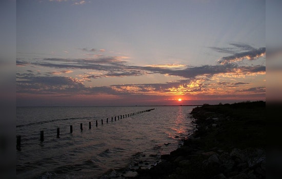Matagorda Bay Opens TX-18 Area for Oyster Harvesting as Population Rebounds, Says Texas Parks and Wildlife