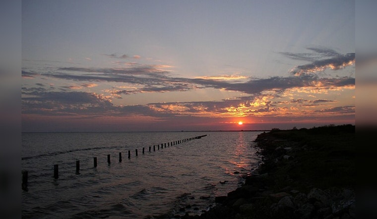 Matagorda Bay Opens TX-18 Area for Oyster Harvesting as Population Rebounds, Says Texas Parks and Wildlife