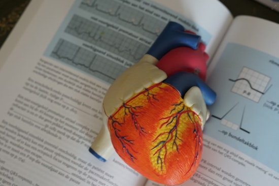 Men and Women's Strikingly Different Heart Attack Symptoms Could Save Lives