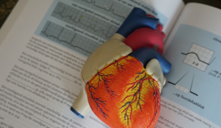 Men and Women's Strikingly Different Heart Attack Symptoms Could Save Lives