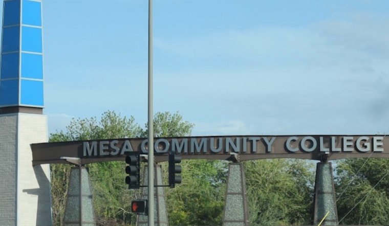 Mesa Community College Salutes African American Women with Dual Exhibitions During Black and Women's History Months