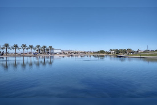 Mesa Park Introduces Fake Alligator and Hippos to Protect Turtles, Draws Crowds and Concern
