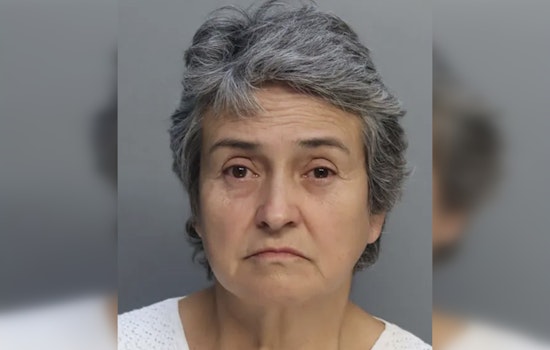 Miami Airport Operations Halted by Security Breach, Woman Charged with Unauthorized Entry