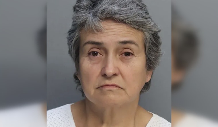 Miami Airport Operations Halted by Security Breach, Woman Charged with Unauthorized Entry