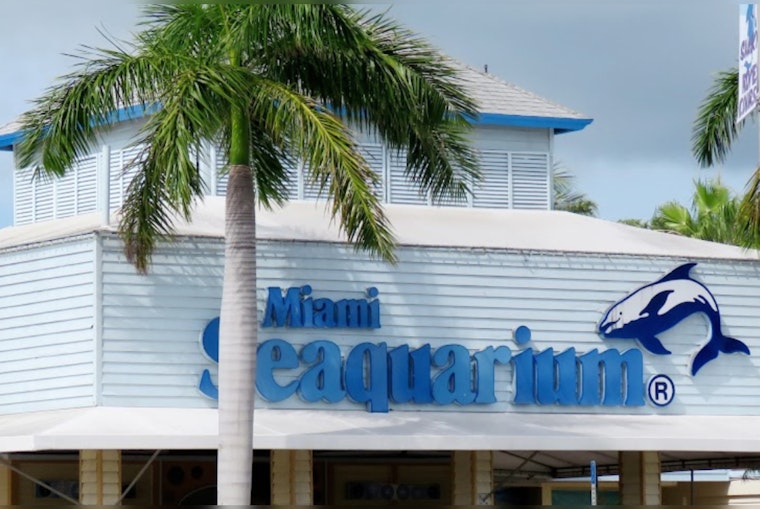 Miami-Dade County Mulls Terminating Lease With Miami Seaquarium Over Animal Welfare Concerns
